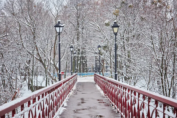 Puente Del Amante Mariyinsky Park Invierno Kiev Ucrania —  Fotos de Stock