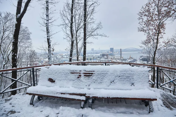 冬の美しい公園には多くの大きな木のベンチとパス — ストック写真