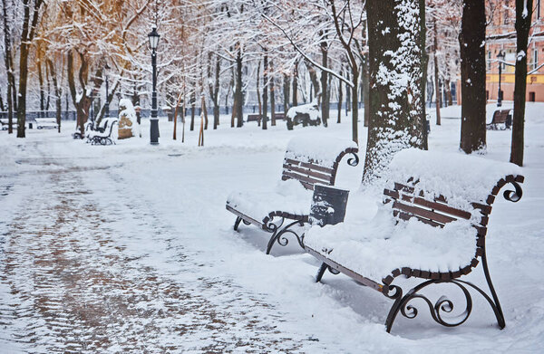 Snow-covered trees and benches in the city park. Sunset