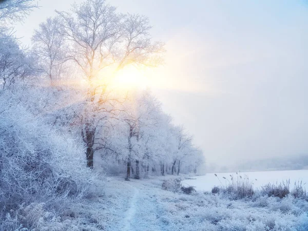 Frusen Sjö Solig Vinterdag Med Blå Himmel Snö Faller — Stockfoto
