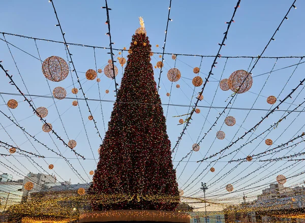 Festlicher Weihnachtsbaum Mit Girlanden Des Jahres 2022 Und Der Sophienkathedrale — Stockfoto