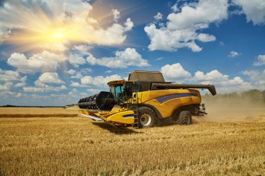 Combine harvester working on a wheat field. Seasonal harvesting the wheat. Agriculture.