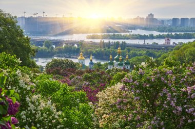 Botanical garden in Kyiv at sunrise. Amazing morning landscape with blossoming lilac, green trees, Dnieper river, city view and rising sun in colorful cloudy sky, Ukraine, Eastern Europe