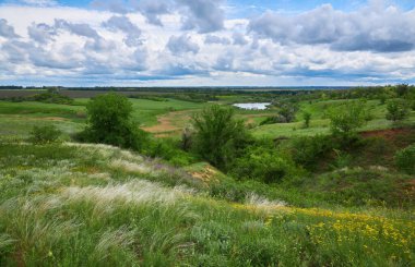 Bahar manzarası, mavi gökyüzünün altındaki tüy çim tarlası.