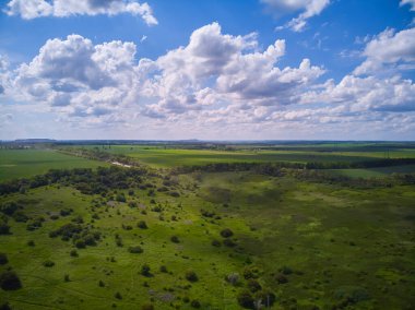 Splendid aerial photography of green wavy field in sunny day. Top view drone shot. Agricultural area of Ukraine, Europe. Concept of agrarian industry. Artistic wallpaper. Beauty of earth.