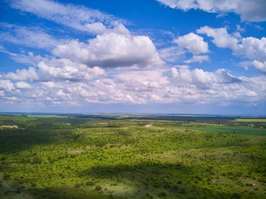 Splendid aerial photography of green wavy field in sunny day. Top view drone shot. Agricultural area of Ukraine, Europe. Concept of agrarian industry. Artistic wallpaper. Beauty of earth.