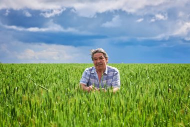 Portrait of farmer standing in green wheat field. Agricultural industry