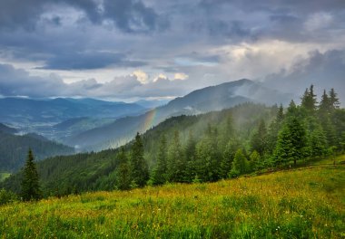 Alplerde yeşil çayırlar, çiçek açan çiçekler ve arka planda karla kaplı dağ tepeleri olan Idyllic manzarası.