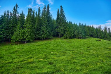 Dağlardaki yaz manzarası ve bulutlu koyu mavi gökyüzü.