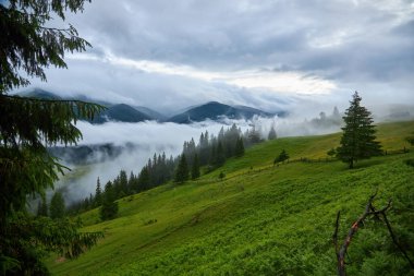 Sabah gökyüzü altında bulutlu görkemli dağlar. Fırtınadan önce bulutlu gökyüzü. Carpathian, Ukrayna, Avrupa.