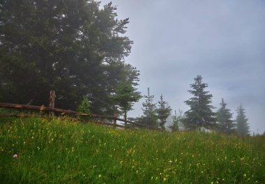 Sabah gökyüzü altında bulutlu görkemli dağlar. Fırtınadan önce bulutlu gökyüzü. Carpathian, Ukrayna, Avrupa.