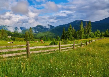 Dağlar ve çiçeklerle İlkbaharda Alplerde