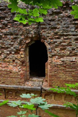 Tarakanov Kalesi en alışılmadık savunma binasıdır ve Batı Ukrayna, Dubno 'da görülmesi gereken bir turisttir.
