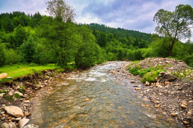 Dağları, ormanı ve önünde bir nehri olan bir manzara. Güzel manzara.