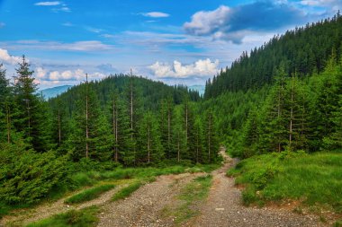 Dağlardaki yaz manzarası ve bulutlu koyu mavi gökyüzü.