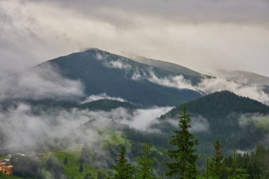 Sabah ışığında dağ çayırında. Çimenli tepenin arkasındaki ormanın arkasında sisli bir vadi ile ilkbahar manzarası. Parlak mavi gökyüzünde kabarık bulutlar. Doğa tazeliği kavramı