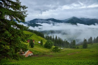 Dağlardaki yaz manzarası ve bulutlu koyu mavi gökyüzü.