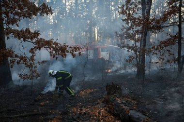 Smoke forest and fireman after forest fire silhouette.