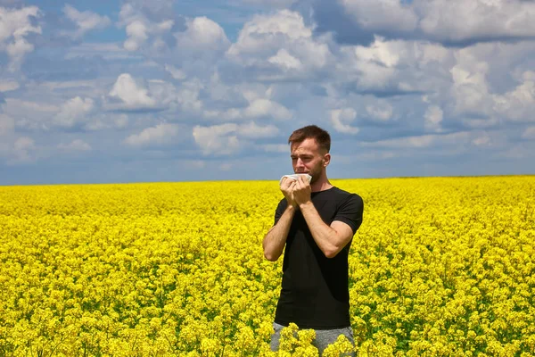 Man Field Blowing His Nose Suffering Hay Fever Allergy — Stock fotografie