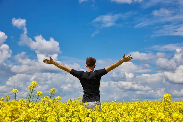 Attractive man with arms outstretched. Handsome young man standing in a field of blooming yellow rapeseed flowers.