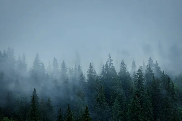 Paisagem Com Nevoeiro Montanhas Fileiras Árvores — Fotografia de Stock