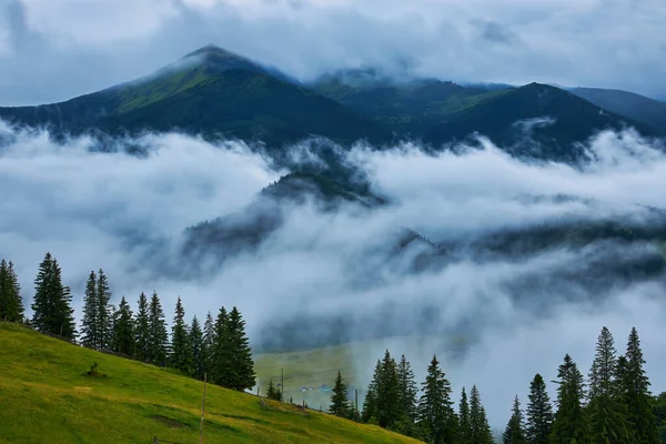 Krajobraz Mgłą Górach Rzędach Drzew — Zdjęcie stockowe