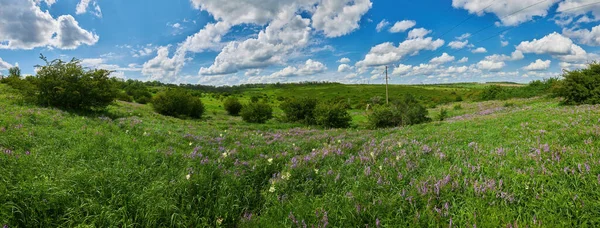 Lato Wiejskiego Krajobrazu Panorama Pole Błękitne Niebo Rolnictwo — Zdjęcie stockowe