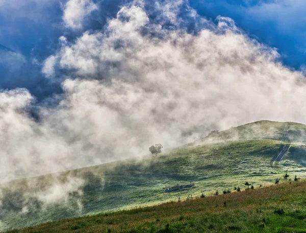 Горный Луг Утреннем Свете Сельский Весенний Пейзаж Долиной Тумане Лесом — стоковое фото