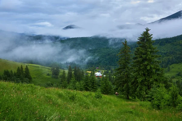 山中的夏日风景 乌云密布的深蓝色天空 — 图库照片