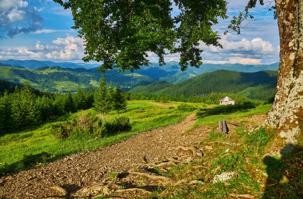 山中的夏日风景 乌云密布的深蓝色天空 — 图库照片