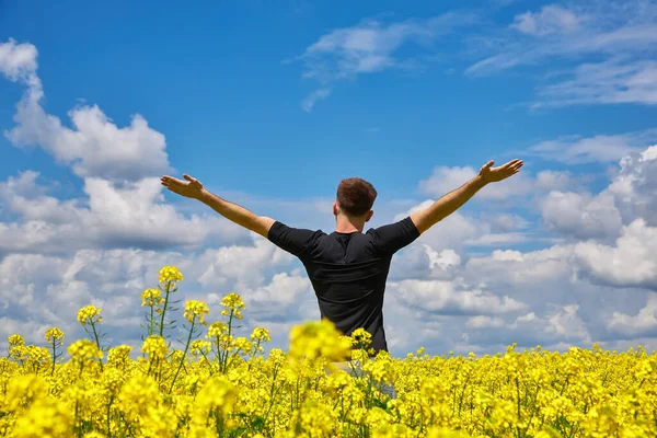 Happy Man Stands Yellow Field Rejoicing Raises His Hands Sky — Stock Photo, Image