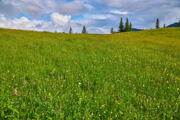 stock image Summer landscape in mountains and the dark blue sky with clouds