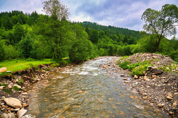 landscape with mountains, forest and a river in front. beautiful scenery