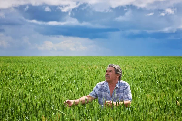 Portrait Happy Farmer Kneeling Wheat Field Beautiful Landscape Background — Foto Stock