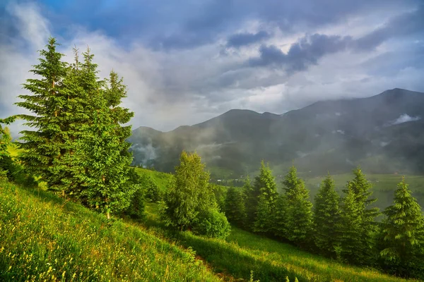 Horská Louka Ranním Světle Krajina Jarní Krajina Údolím Mlze Lesem — Stock fotografie