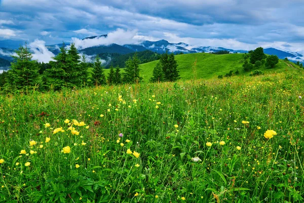 Primavera Nos Alpes Com Montanhas Flores — Fotografia de Stock