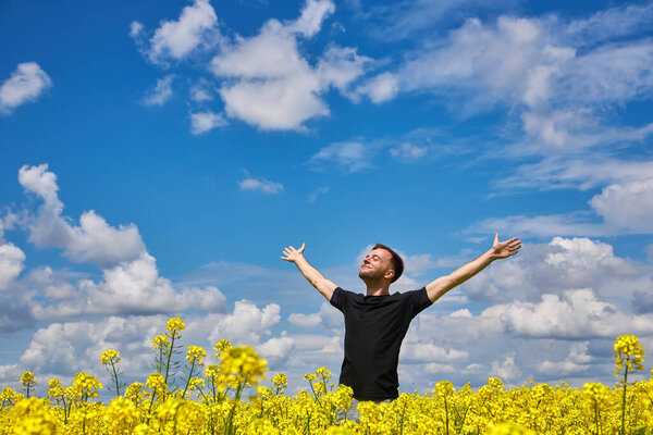 Happy man stands in a yellow field rejoicing raises his hands to the sky.