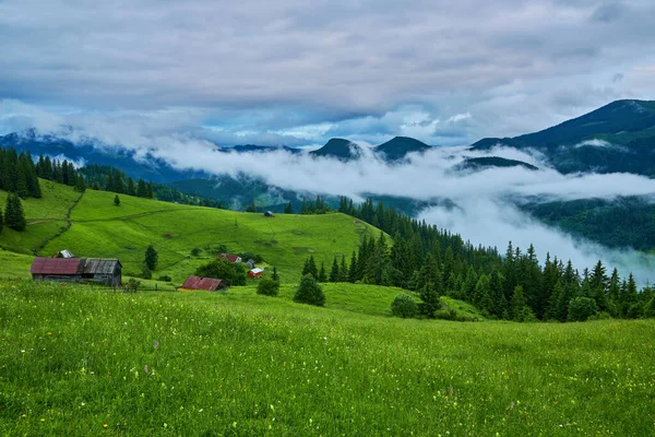 Bergwiese Morgenlicht Landschaft Frühlingslandschaft Mit Tal Nebel Hinter Dem Wald — Stockfoto