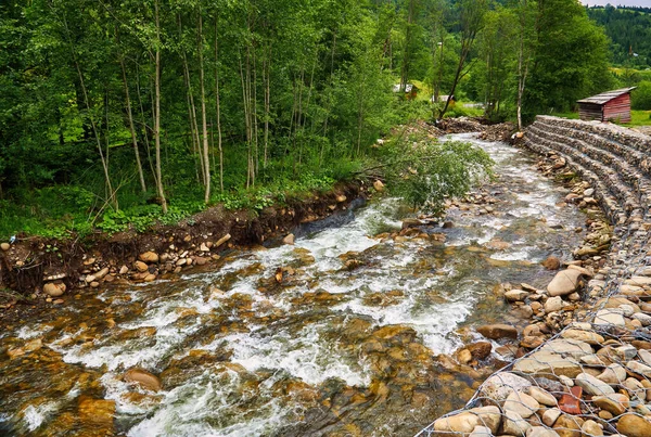 타이가 강둑을 소나무 수로에 산줄기 물등을 배경으로 — 스톡 사진