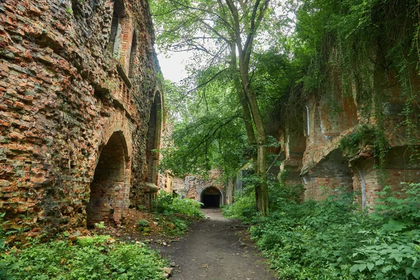 Ruinas Antigua Fortificación Fuerte Avanzada Dubno Tarakaniv Fuerte Región Rivne —  Fotos de Stock