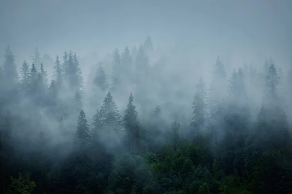 Paisaje Abstracto Las Montañas Con Niebla Bosque —  Fotos de Stock