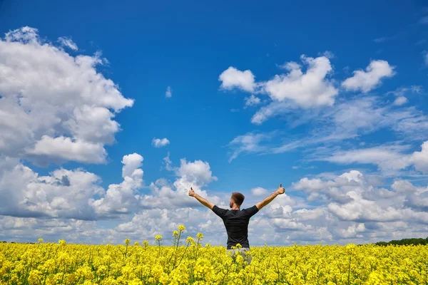 Happy Man Stands Yellow Field Rejoicing Raises His Hands Sky — Stock Photo, Image