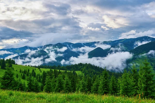 朝焼けの山の牧草地 草原の丘の森の後ろの霧の谷の田舎の春の風景 青空に浮かぶふわふわの雲 自然の新鮮さの概念 — ストック写真