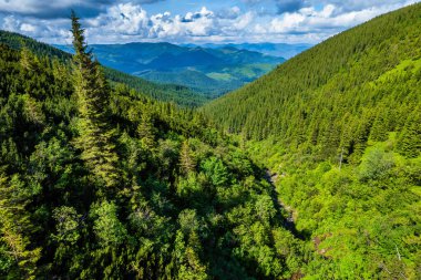 Sisli dağların huzurlu manzarası. Karpatlar 'ın Ukrayna, Avrupa' daki dağlarının bulunduğu yer. Hava fotoğrafçılığı, insansız hava aracı görüntüsü. Toprağın güzelliğini keşfedin.