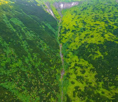 Karpat Dağları 'nın tepesinden akan küçük bir dere, İHA' nın genel görüntüsü. Yaz dağları