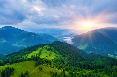 Dağlarda inanılmaz bir sabah sisi var. Kızıl kayın ormanında güzel bir gün doğumu ışığı parlıyor. İHA panoraması. Peyzaj fotoğrafçılığı