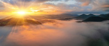 Alplerde yeşil çayırlar, çiçek açan çiçekler ve arka planda karla kaplı dağ tepeleri olan Idyllic manzarası.