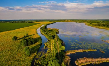 Geniş nehrin havadan manzarası yaz akşamları yeşil tarlalar arasında kırsal alanda sessizce akıyor.