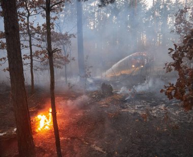 Bir itfaiye aracının su topu yüksek hızlı bir su akıntısını vuruyor, itfaiyeciler ormanda yangınla savaşıyor. Kyiv bölgesi, Ukrayna