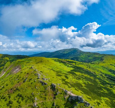 Tüylü bulutlarla kaplı güzel dağ ormanlarının hava manzarası. Drone fotoğrafçılığı